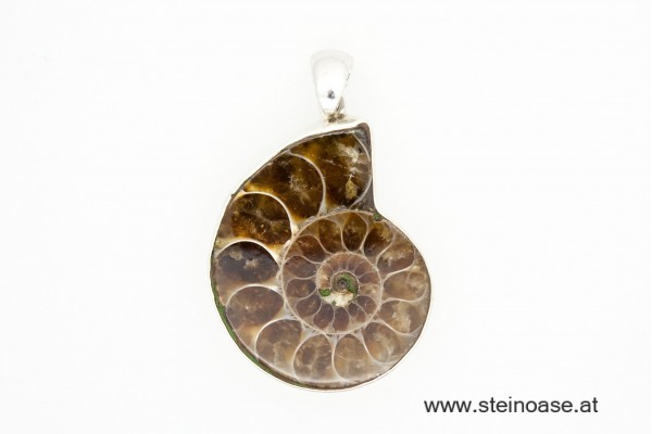 Anhänger Ammonite + Silber